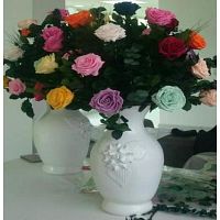 Rosas liofilizadas en bogotá 