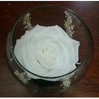 Amory amistad con flores naturales liofilizadas de florlicol, flores duraderas