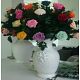 Rosas liofilizadas en bogotá 