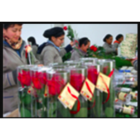 Vendo planta industrial de Preservación química de Flores en Bogotá